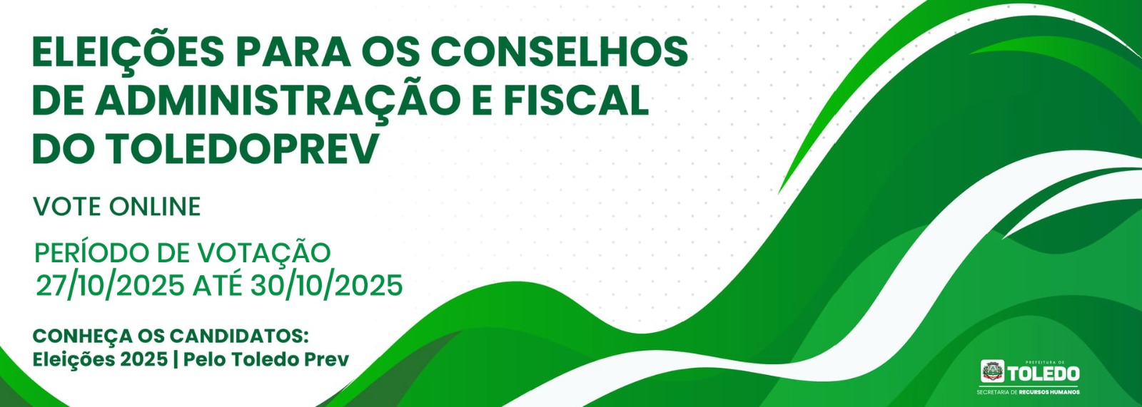 Novo Pleito